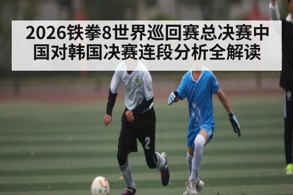 2026铁拳8世界巡回赛总决赛中国对韩国决赛连段分析全解读